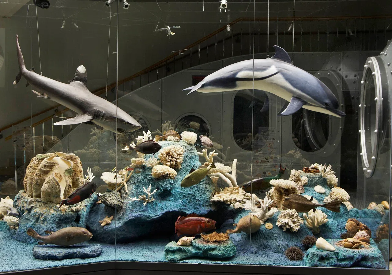 Дарвиновский музей - Фото 1