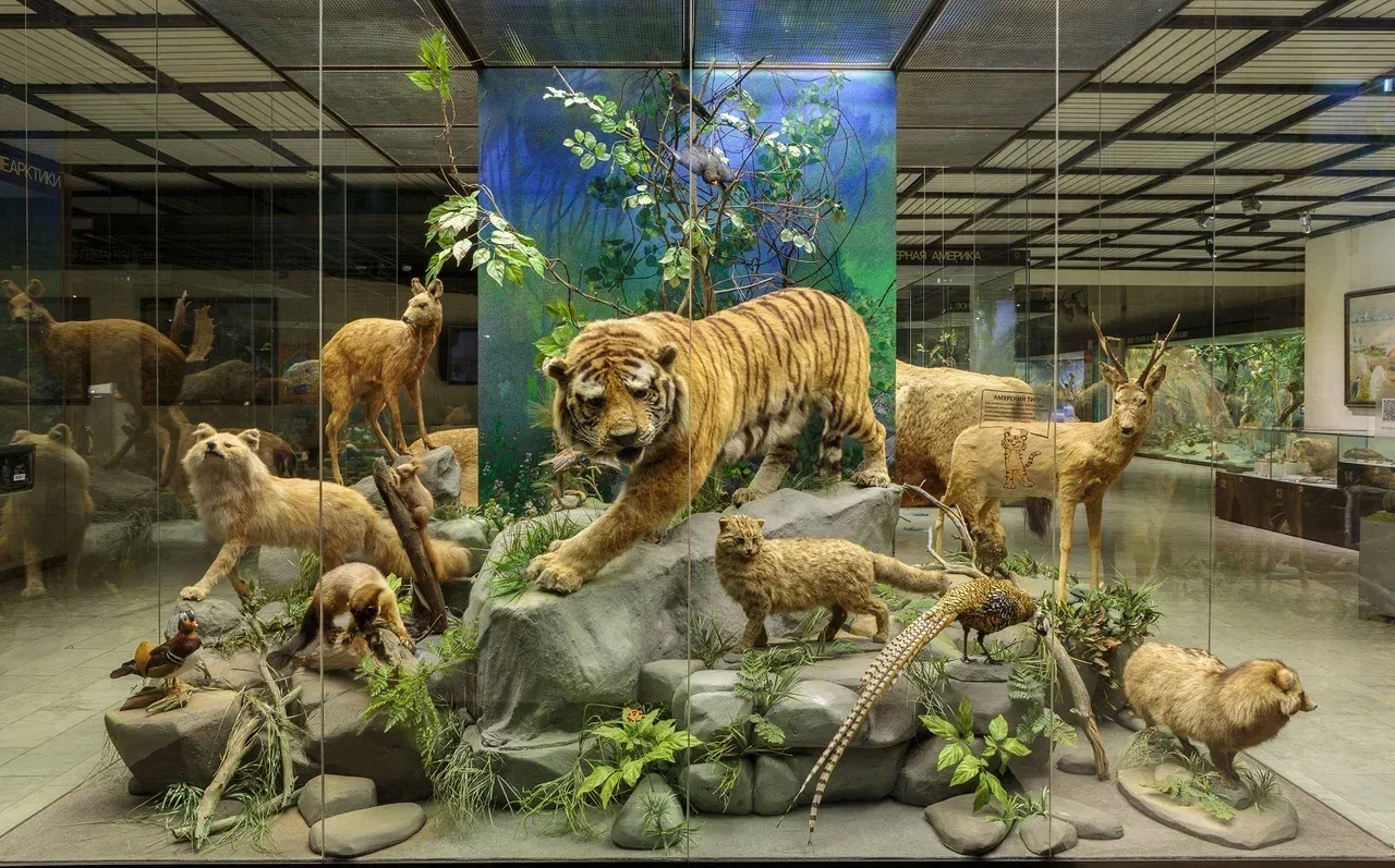 Дарвиновский музей - Фото 3