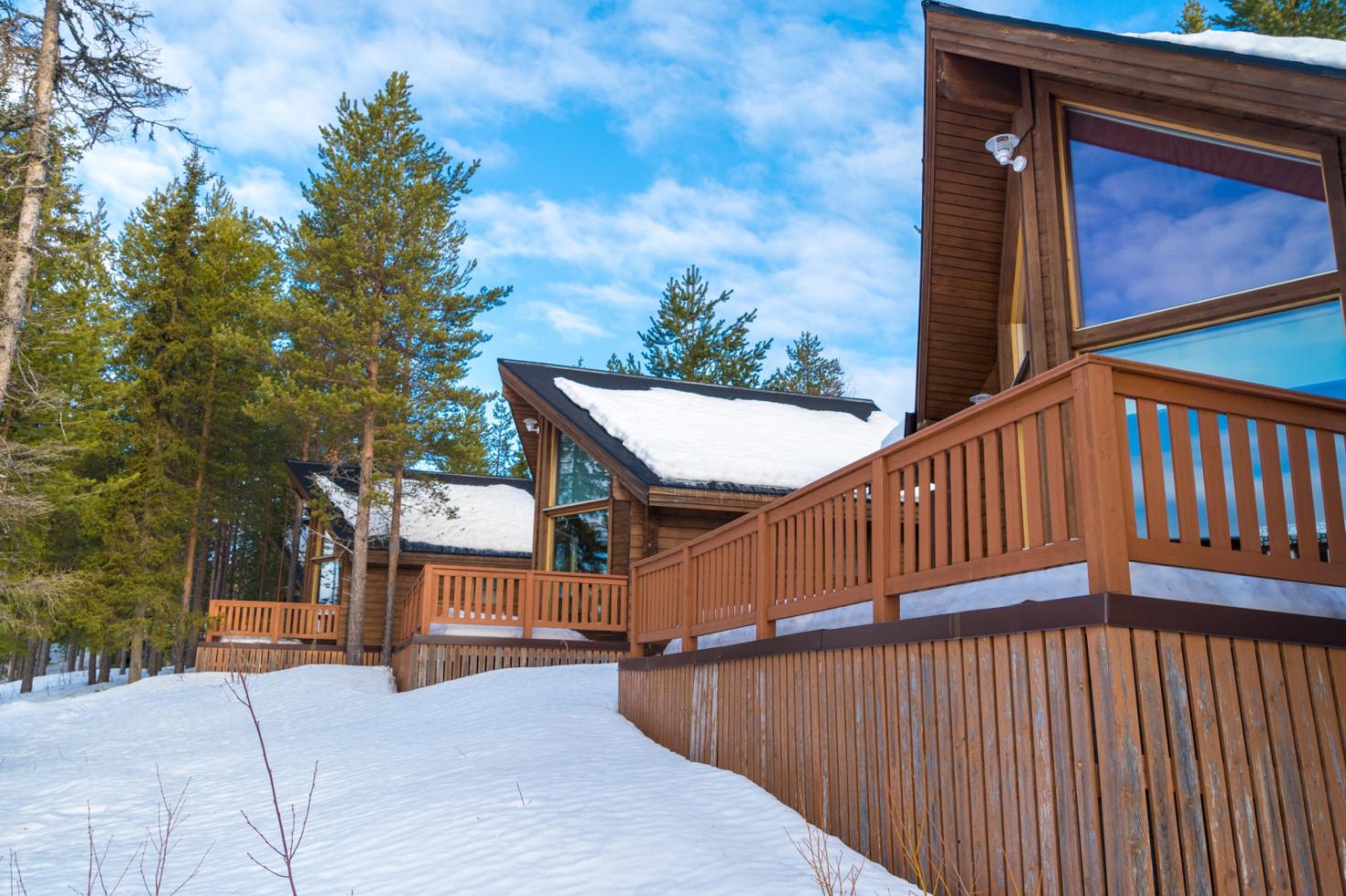 Снегоходные туры "Центр северного сафари" - Фото 1