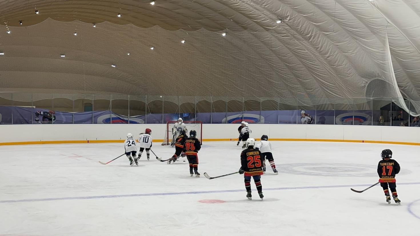 Ледовая арена "Озерки" - Фото 1