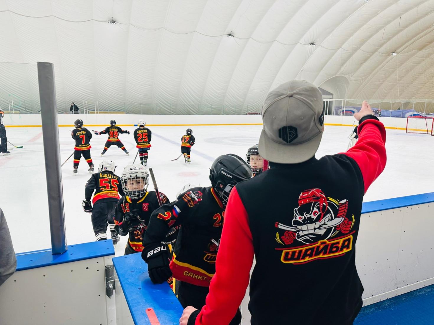 Ледовая арена "Озерки" - Фото 3