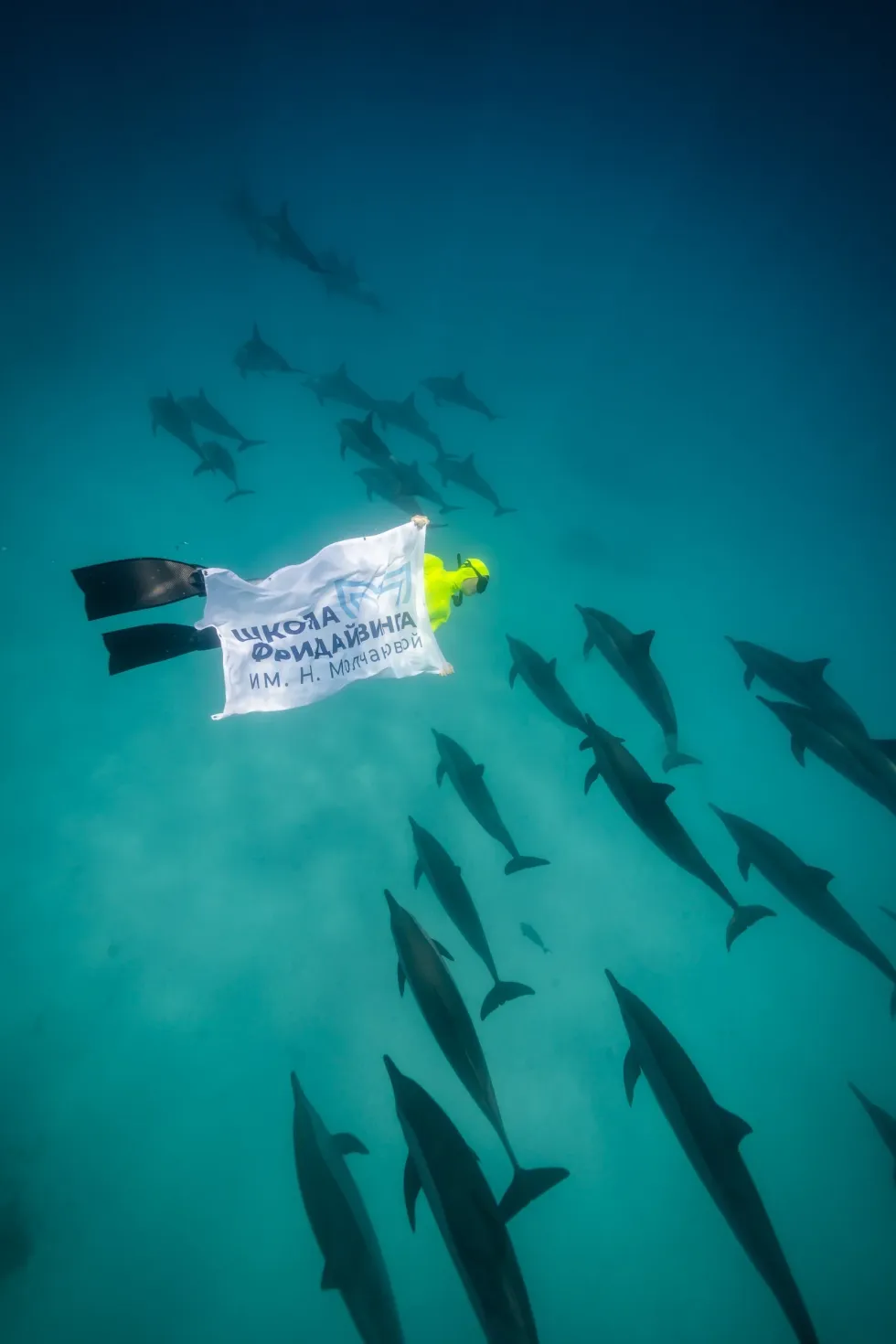 Школа фридайвинга имени Натальи Молчанова - Фото 2