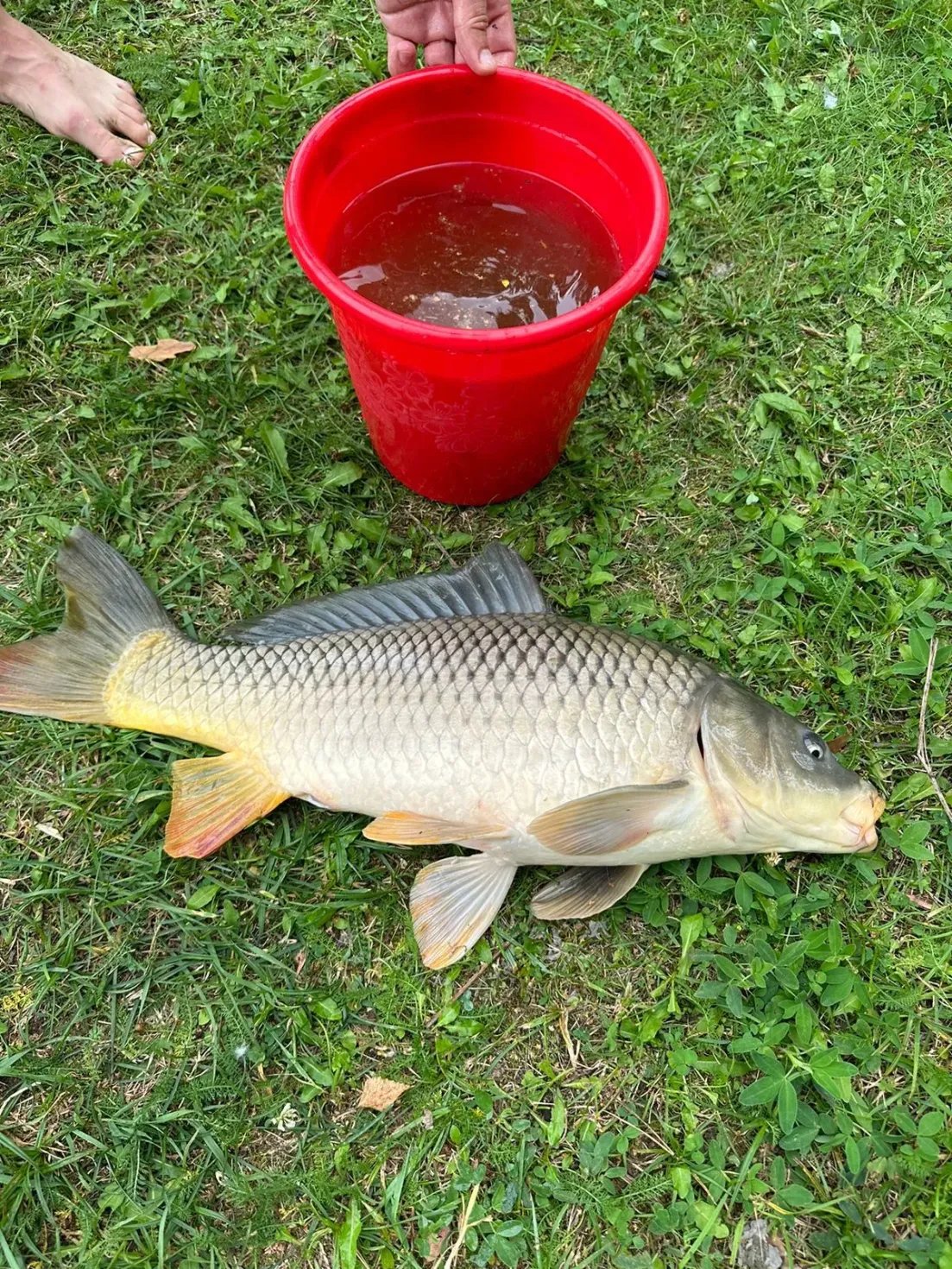 загородный комплекс Лесные Пруды - Фото 5