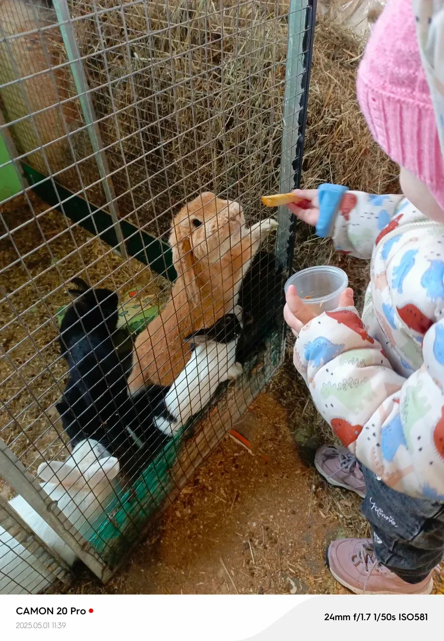 Контактный зоопарк ZOO-mini - Фото 6