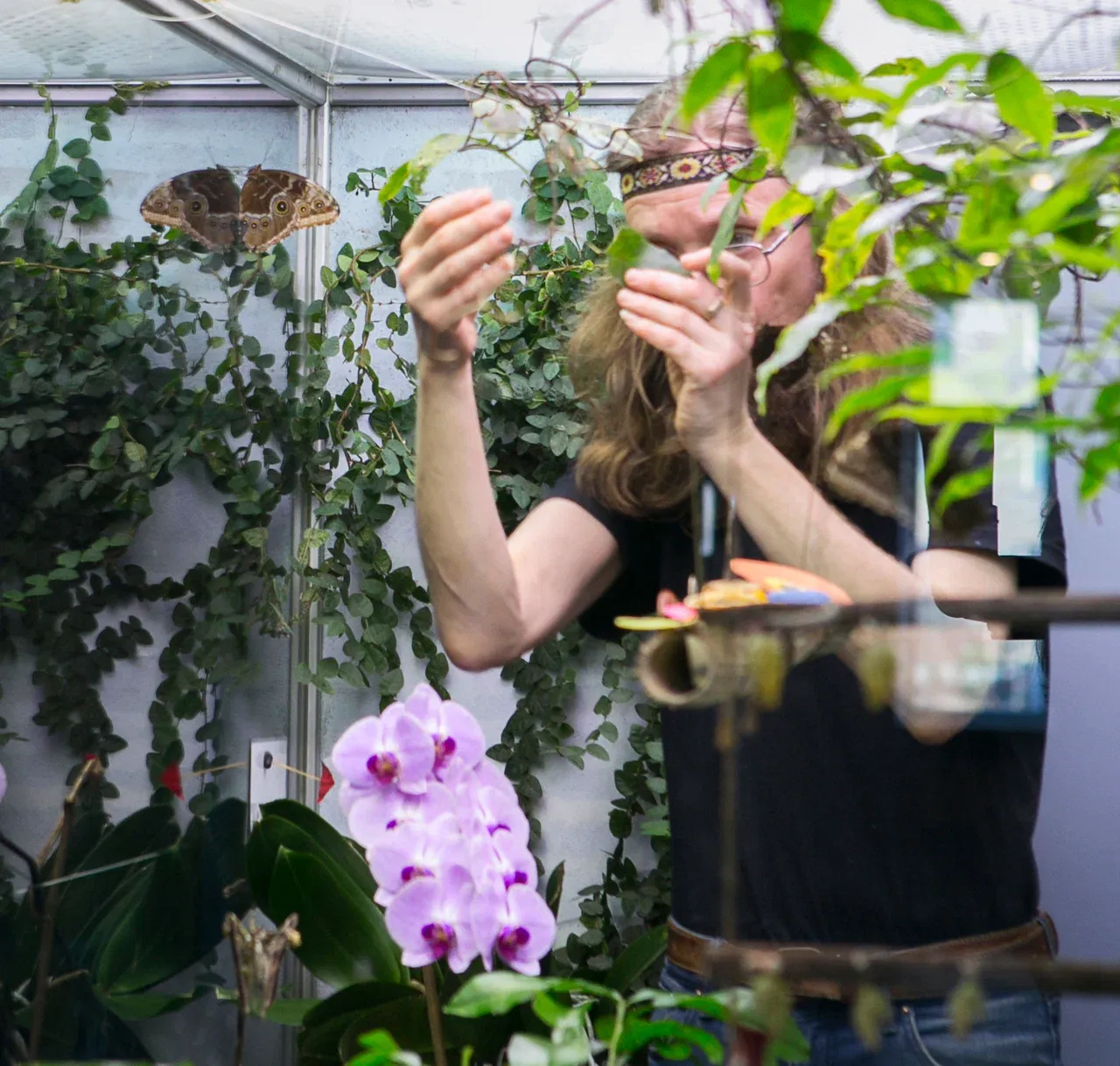 Дарвиновский музей - Фото 7