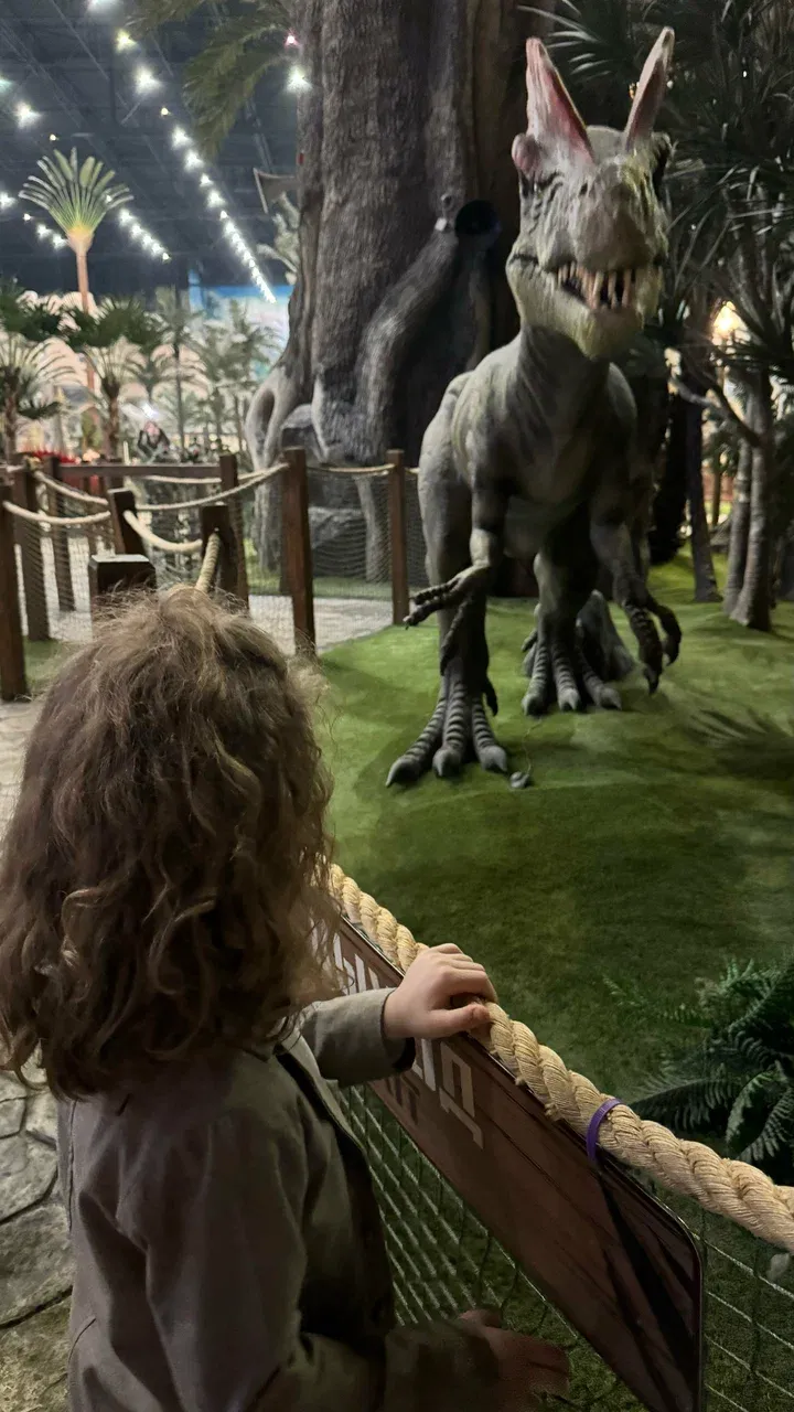 Развлекательный комплекс Остров Мечты - Фото 6